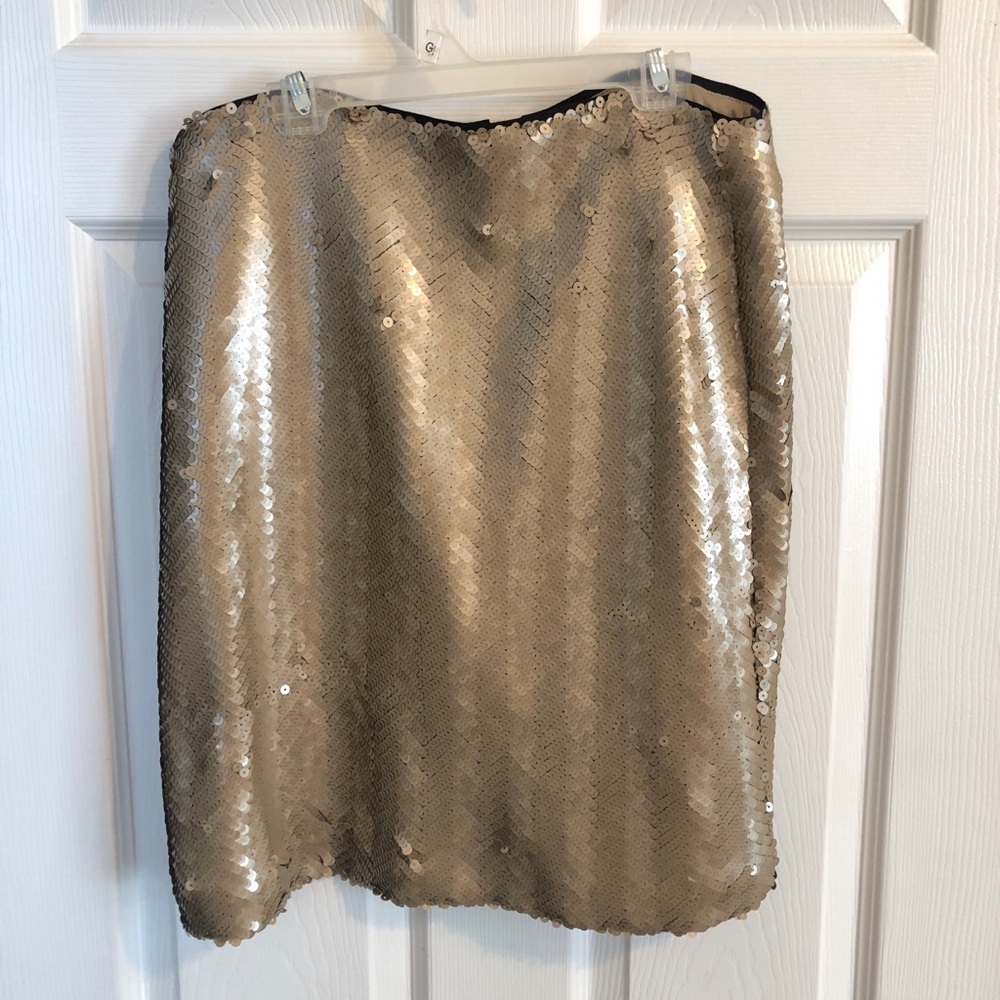Sequin Skirt
